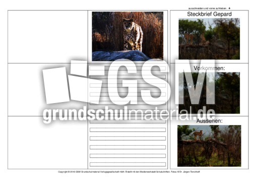 Flip-Flap-Gepard-1.pdf